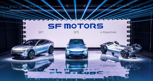 賽力斯造車 緣木求魚 ,小康張興海 覆水難收 下