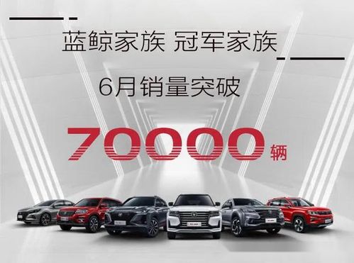 睿騁cc全部資訊 易車