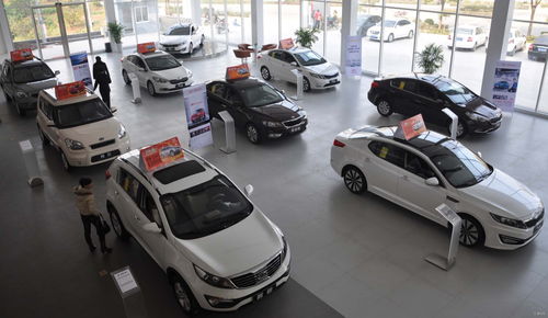 車市黑天鵝突襲 金九成爛攤子，銀十恐入寒冬